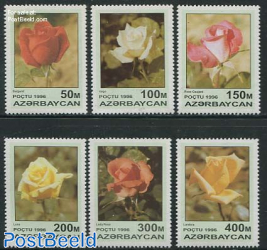 Roses 6v