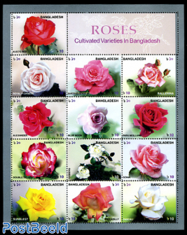 Roses 13v m/s
