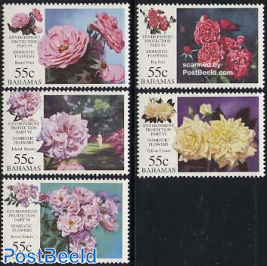 Roses 5v