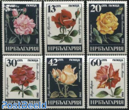 Roses 6v