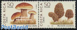 Mushrooms 2v 