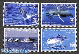Whales & Dolphins 4v