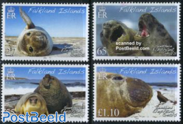 Southern elephant seal 4v