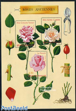 Roses s/s