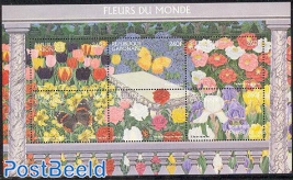 Flowers 6v m/s, Tulips