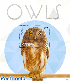 Barred owl s/s