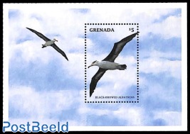 Black browed albatroS s/S