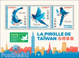 Birds (Taipei 2023)