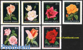 Roses 7v