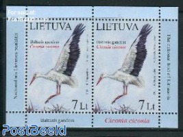 White stork s/s