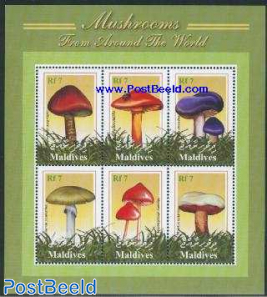 Mushrooms 6v m/s, Tricholloma aurantium
