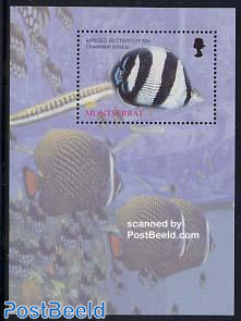 Fish s/s, Banded butterflyfish