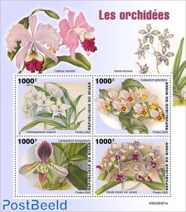 Orchids