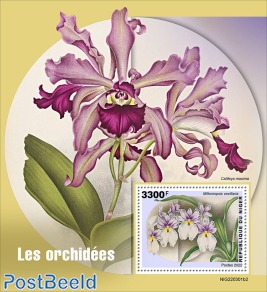 Orchids