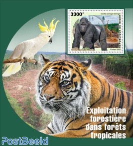 Rainforest Logging