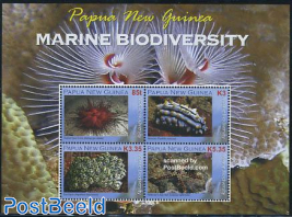 Marine biodiversity 4v m/s