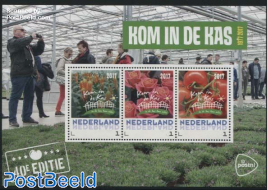 Kom in de Kas 3v m/s