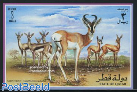 Gazelles s/s