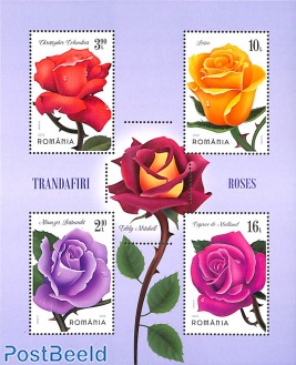 Roses s/s