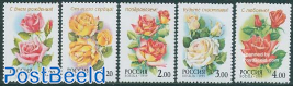 Roses 5v