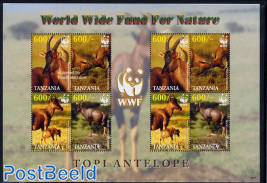 WWF, Topi Antelope 2x4v m/s