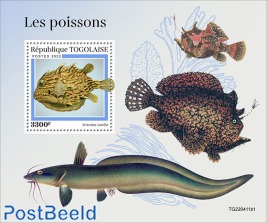 Fishes