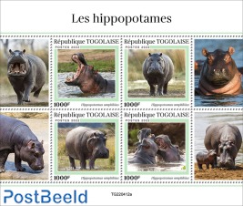 Hippos