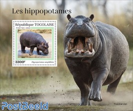 Hippos