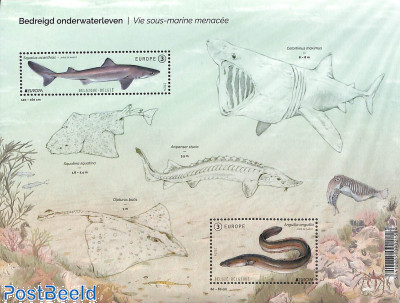 Europa, marine life s/s