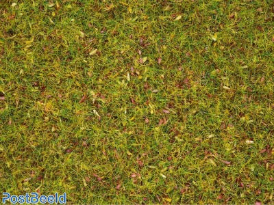 Scatter Grass ~ Flower Meadow 2,5mm (20g)