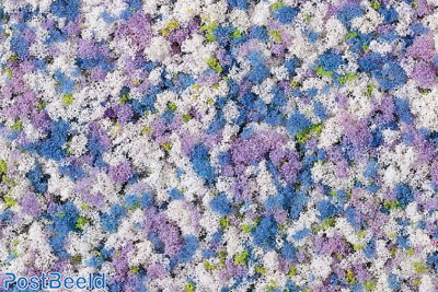 Foam Flocking ~ Cornflowers (150ml)