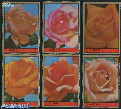 Roses 6v
