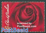 Rose 1v