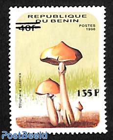 Mushroom overprint 135F