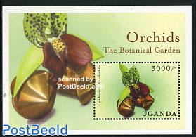 Orchids s/s, Cymbidiella rhodochila