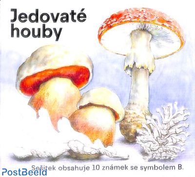 Mushrooms booklet s-a
