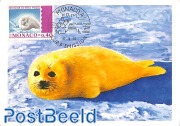 Seal protection 1v
